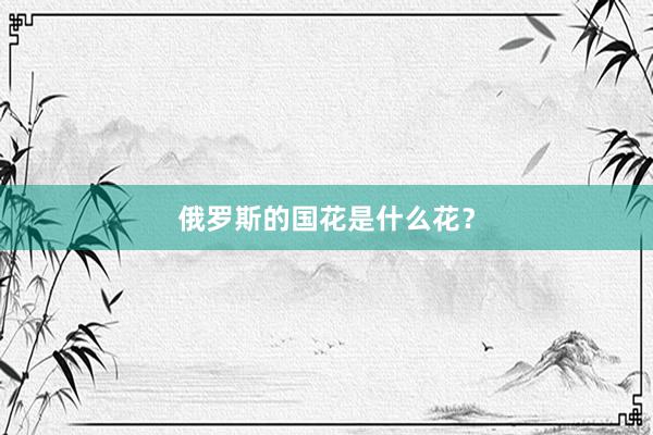 俄罗斯的国花是什么花？